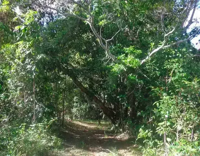 Hotel Fazenda Ecoville