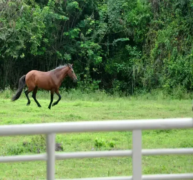 Hotel Fazenda Ecoville